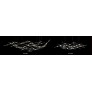 AL0144 CONSTELLATION URSA