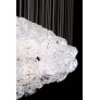 SJ2066 OVAL CLUSTER