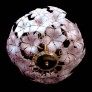 IQ2846 LARGE VENINI CHANDELIER