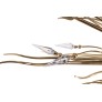 IQ2925 HEMERA SUSPENSION