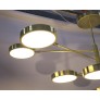 IQ2929 ORBITALE ARMS CHANDELIER
