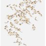 IQ2999 FROZEN PETALS