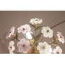 IQ4041 MURANO VINTAGE CEILING LIGHT PINK AND WHITE FLOWERS