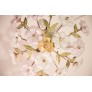 IQ4041 MURANO VINTAGE CEILING LIGHT PINK AND WHITE FLOWERS