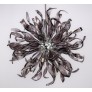 AM6004P IRIS APOLLO