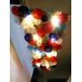 DV1526 Tag Ceiling Flush