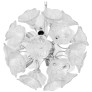 DV5519 Clear Flowers Sputnik