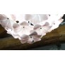 KA1341 MAZZEGA FLOWER BALL