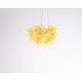 QZCL644 STARBURST