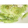 WM2120 FIORE VERDE