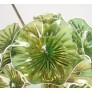 WM2120 FIORE VERDE