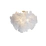 IQ2059 EVE RIBBON