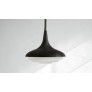 IQ3185 CALYX
