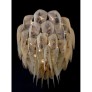 CHAIN042 PROTEA