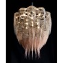 CHAIN042 PROTEA