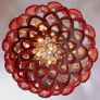 CHAIN042 PROTEA