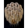 CHAIN042 PROTEA