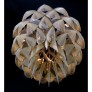 CHAIN042 PROTEA