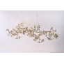 AM1220 BLOSSOM LINEAR