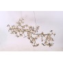 AM1220 BLOSSOM LINEAR