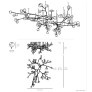 AM2828 ARMATURE BOCCI