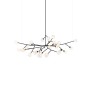 AM2828 ARMATURE BOCCI