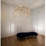 AM4244 LUSTROUS AURA