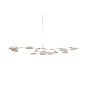 DV5612 Branching Disc
