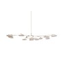 DV5612 Branching Disc