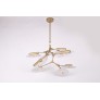 DV5612 Branching Disc