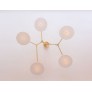 DV5612 Branching Disc