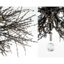 JT246 TWIG