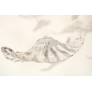 JT251 ELLIPSE LEAF