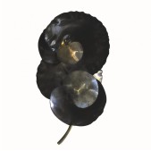 PS1432 EUCALYPTUS WALL LIGHT