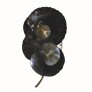 PS1432 EUCALYPTUS WALL LIGHT