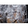 QZ0770 MEMENTO MORI GLASS CHANDELIER
