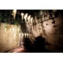 QZ8113 PERCH BIRD CHANDELIER