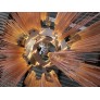 QZ2336 SPIRAL TREE