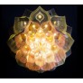 QZ2338 LOTUS MANDALA