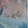 WM2088 ACROPORA