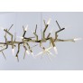 WM2088 ACROPORA