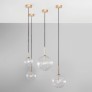 IQ8017 DRIES GLOBES