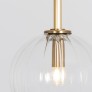 IQ8017 DRIES GLOBES