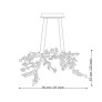 DV3953 ALMOND