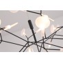 AM1705 HERACLEUM