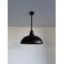 QZ0705 CARSON GOOSENECK PENDANT