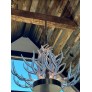 KA1800 LUCITE ANTLERS