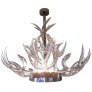 KA1800 LUCITE ANTLERS