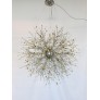 AM1600 DANDELION