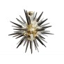 JT268 SPIKE SPUTNIK